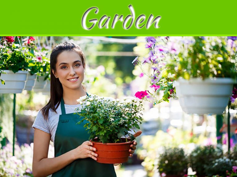 Here’s How You Can Have A Garden If You Have A Tiny Apartment