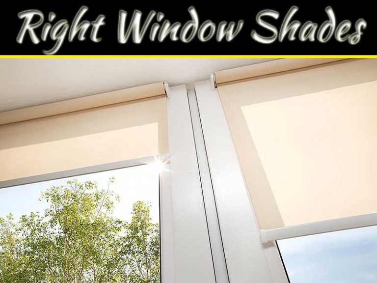 How To Choose The Right Window Shades For Your Home