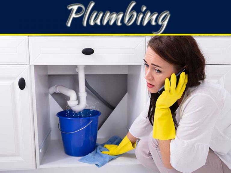 Leaky Pipes: What Kinds Of Household Pests Are Attracted To Them?