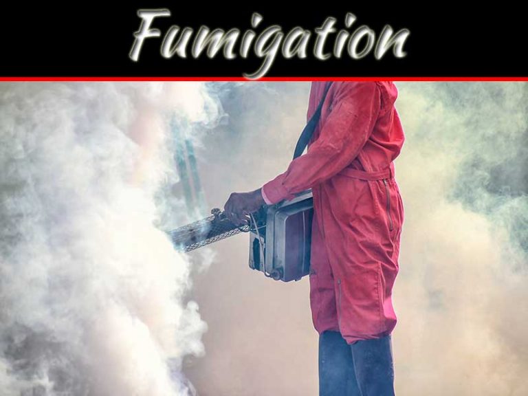 What Is The Fumigation Process In Pest Control Treatment And Why Is It Considered?