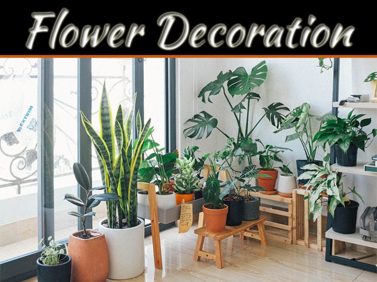 Why Flowers Are Indispensable In An Interior