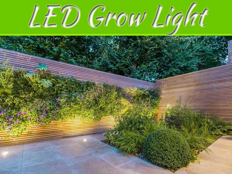 Garden Lighting Ideas Using LED Grow Light