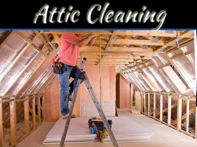 Here Is Why Attic Cleaning Is Essential?