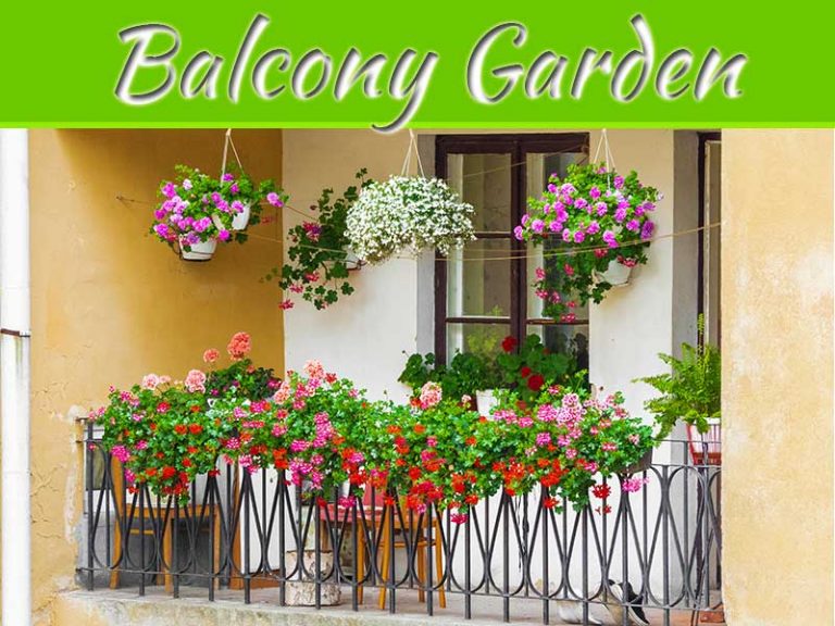 How To Turn Your Balcony Into A Lush Garden Paradise