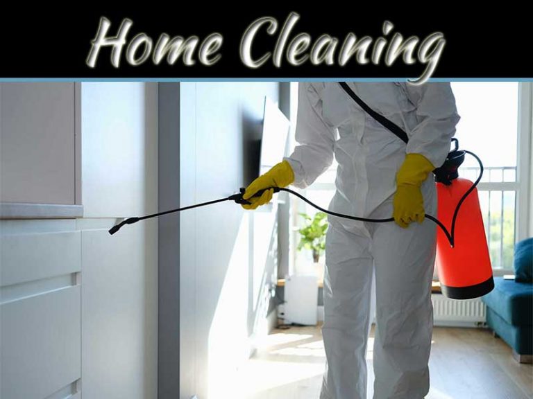 8 Reasons Why You Should Call An Exterminator