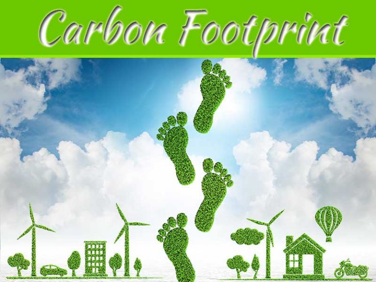 How Can I Reduce My Carbon Footprint At Home?
