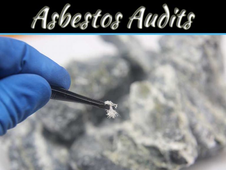 Keep Your Family Safe In Queensland With Asbestos Audits