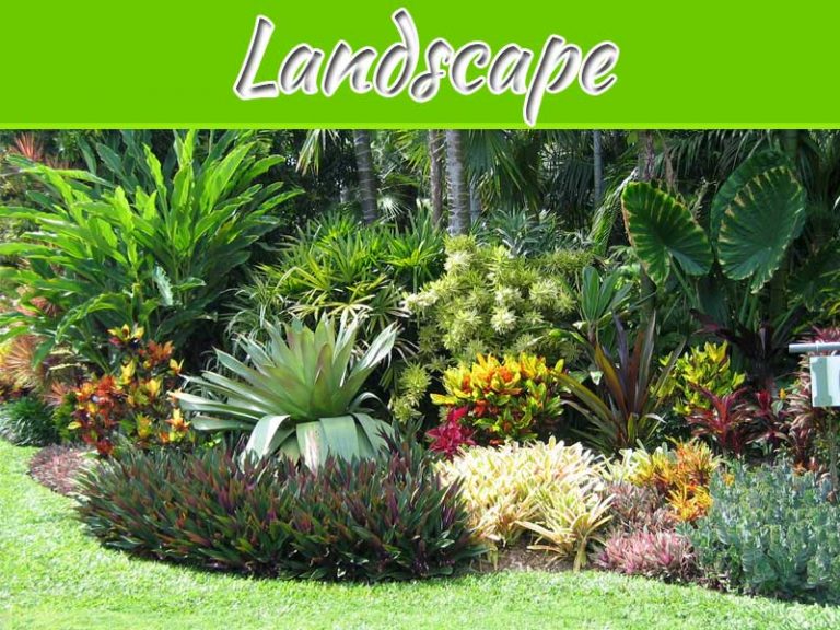 Why Does A Sustainable Landscape Matter?