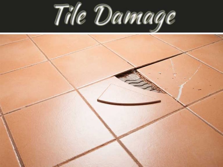 Everything That You Should Know About Tile Damage