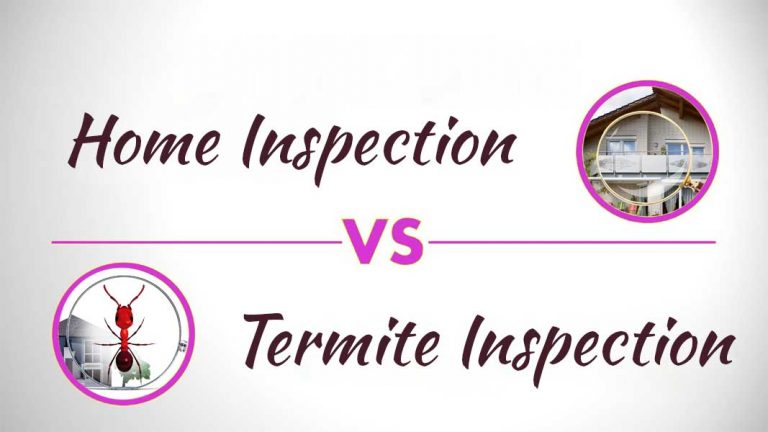 Home Inspection Vs Termite Inspection; What Is The Difference?