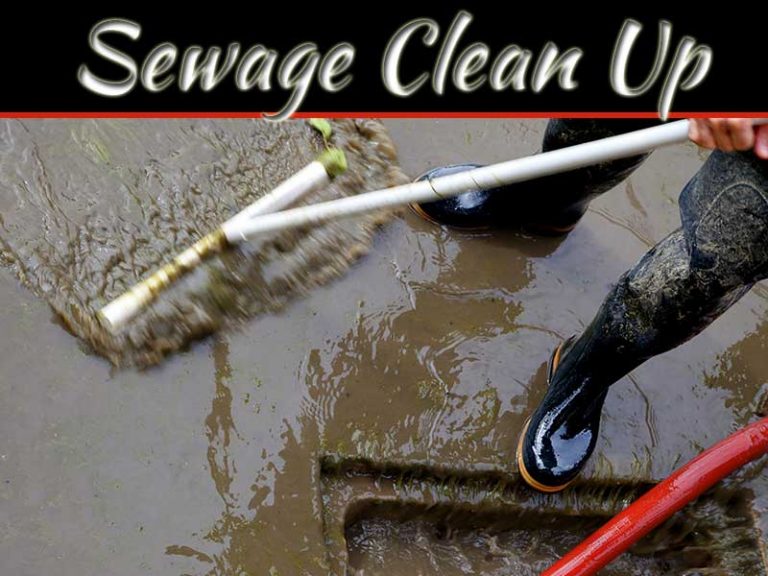 Let The Professionals Handle Sewage Clean-Up