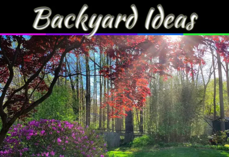 5 Best Places To Set Up A Playset In Your Backyard