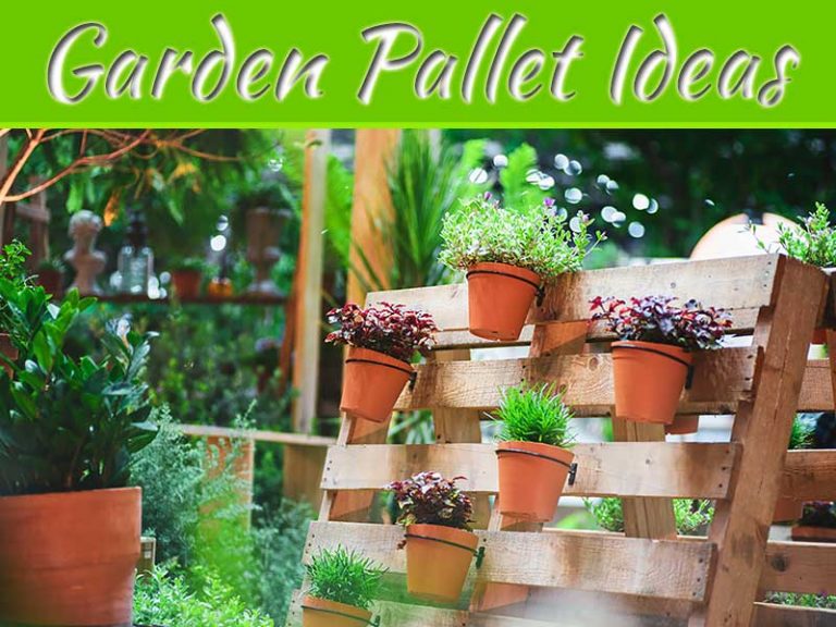 7 Crafty Pallet Ideas To Transform Your Garden