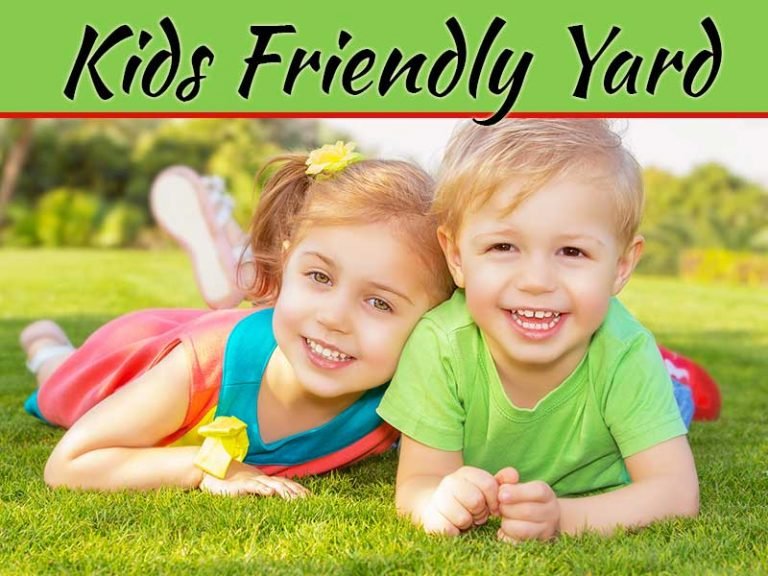 5 Tips For Creating A Kid-Friendly Backyard
