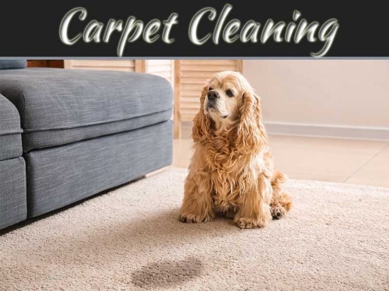 Effective Way To Remove Dog Urine Smell From Carpet