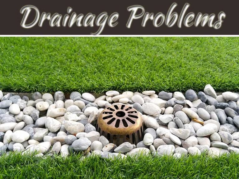 The Truth About Yard Drainage Problems And Your Foundation