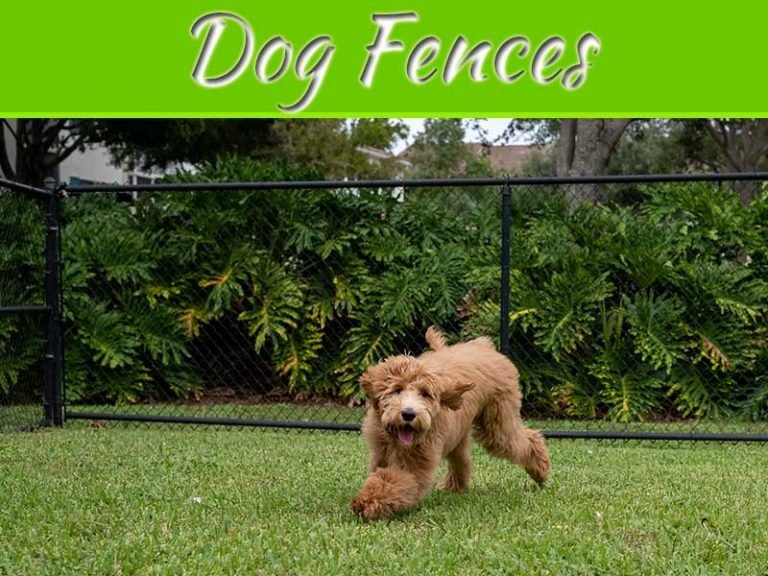 How To Choose The Right Type Of Fence For Your Dog