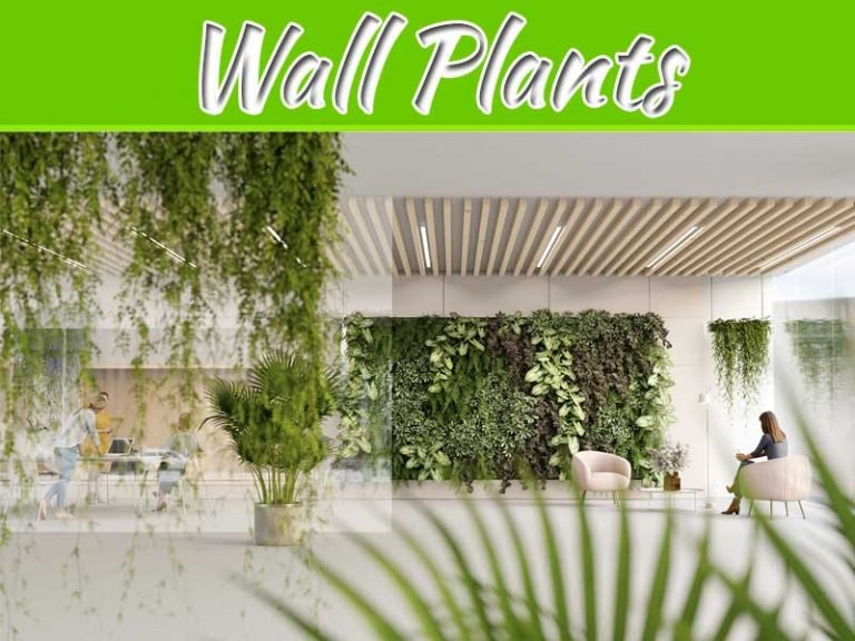 The Best Plants To Include In Your Living Wall