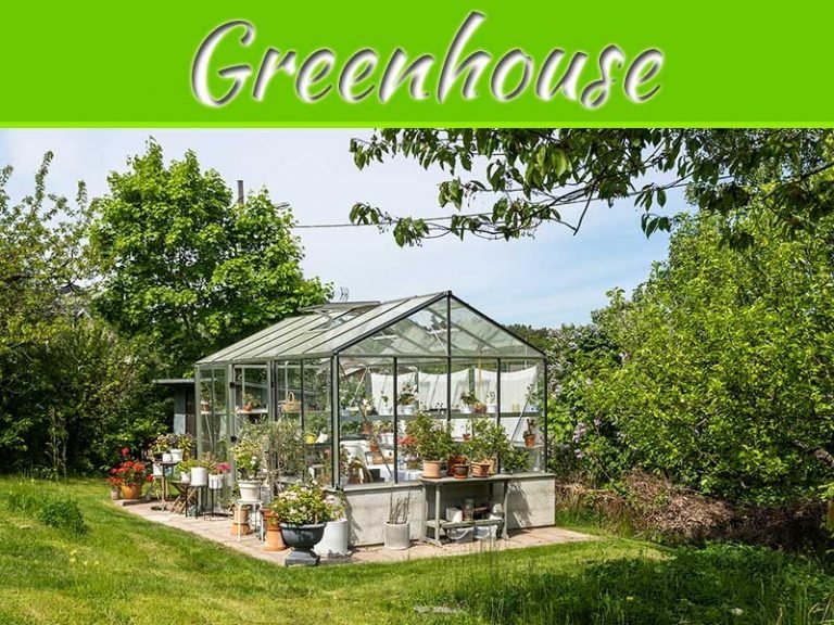 Why Choose A Polycarbonate Greenhouse? The Janssen Greenhouse Review