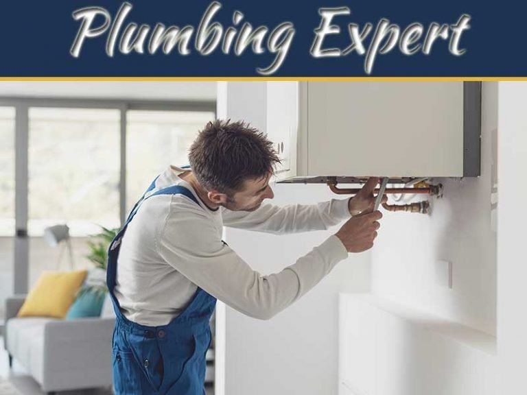 Your Local Plumbing Experts: Why Hire A Professional Service In Sugar Land