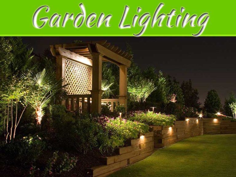 How To Transform Your Garden With Decorative Lighting