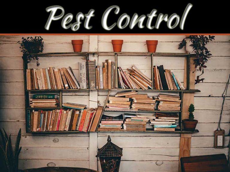 Pest Control Maryville TN For Silverfish: Protecting Your Books And Documents