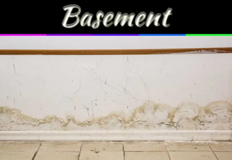 Top 5 Most Common Causes Of Wet Basement