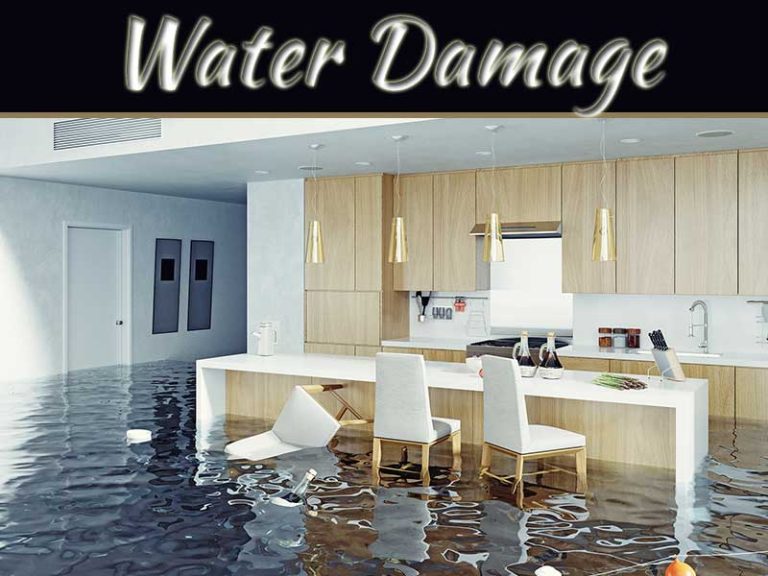 Your Essential Guide To Detecting And Repairing Water Damage At Home