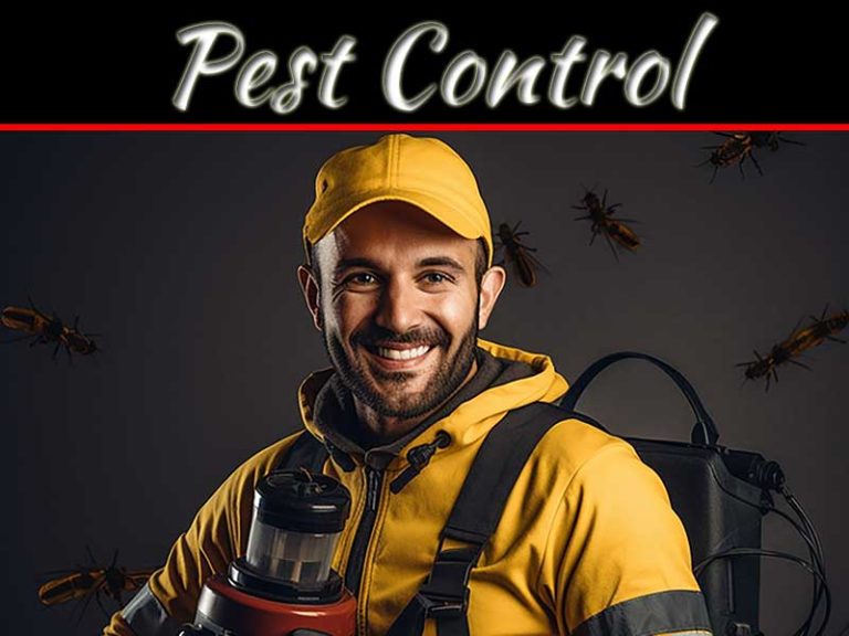 How A Professional Pest Control Contractor Can Keep Your Home Healthy