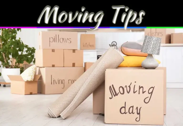 7 Things You Must Do Before Moving Day