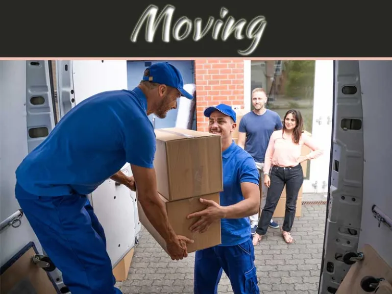Your Best Moving Companion In The City: NYC's Friendly Movers