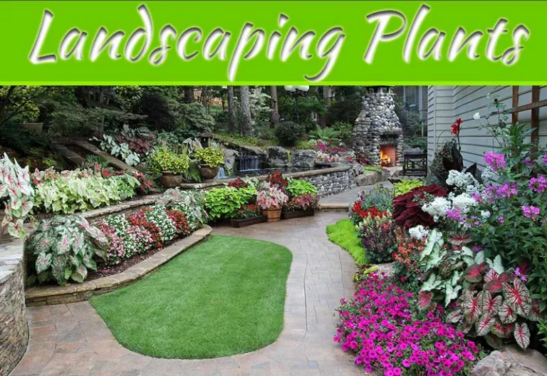 10 Of The Best Landscaping Plants For Snowy States