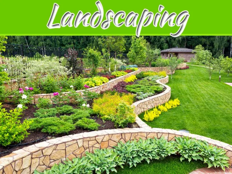 Transforming Your Outdoor Space: 5 Inspiring Landscaping Ideas