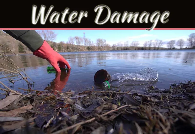 Health Risks Associated With Water-Damaged Environments