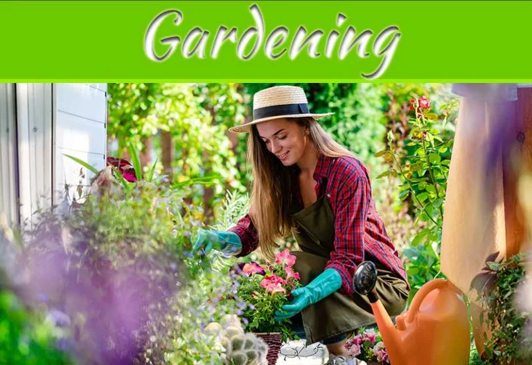 Nurturing Nature's Canvas: A Gardener's Journey