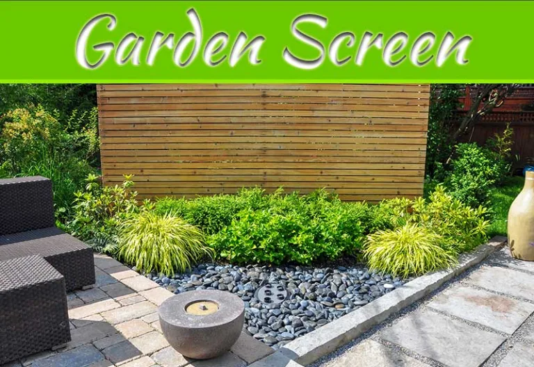 Natural Ways To Screen Your Garden