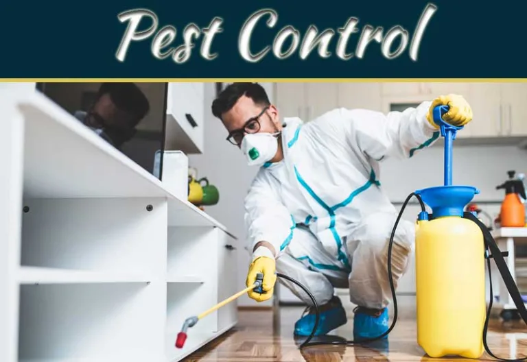 Uninvited Guests: Mastering The Art Of Pest Control In Your Living Space