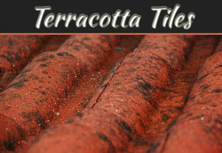2024 Sees The Term Terracotta Tiles Surge In Popularity