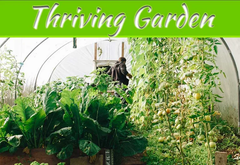 The Art Of Cultivating A Thriving Garden