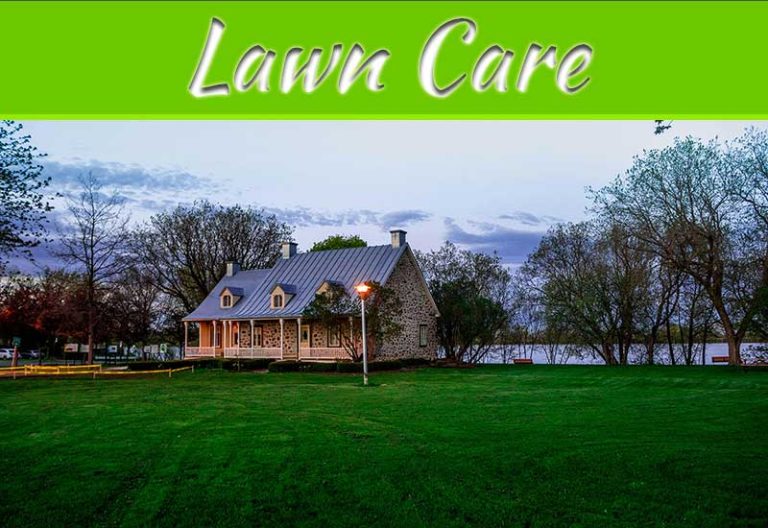 Eco-Friendly Fertilizers For A Healthy Lawn