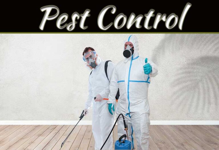 Say Goodbye To Pests: Expert Strategies For Outdoor Spaces