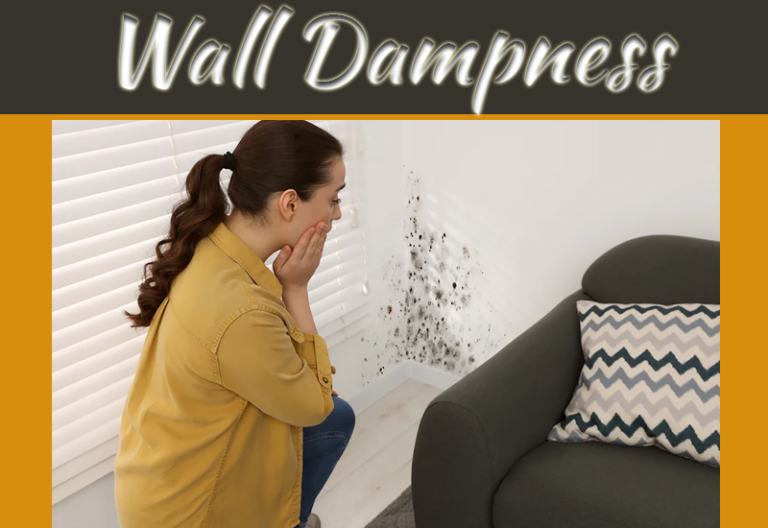 What Causes Wall Dampness?