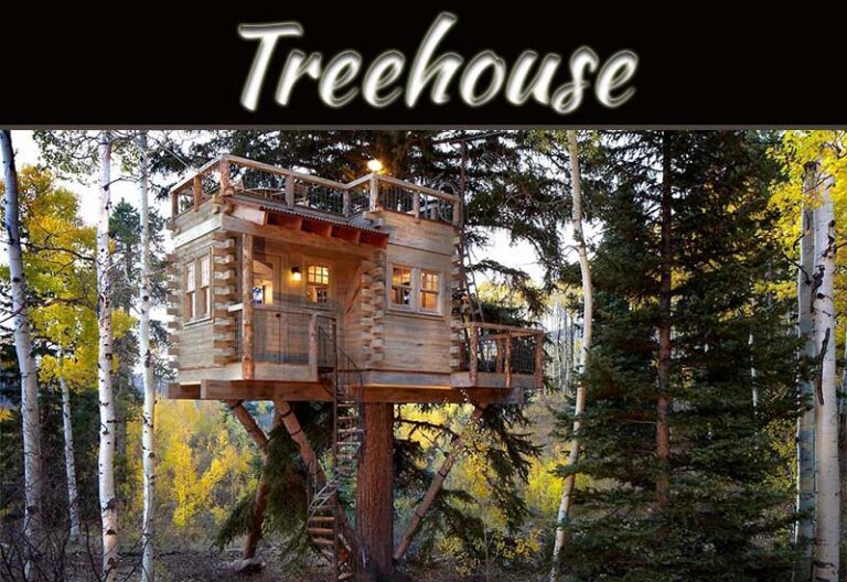 The Magical Experience Of A Treehouse
