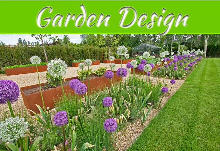 How To Use Native Plants In Your Garden Design