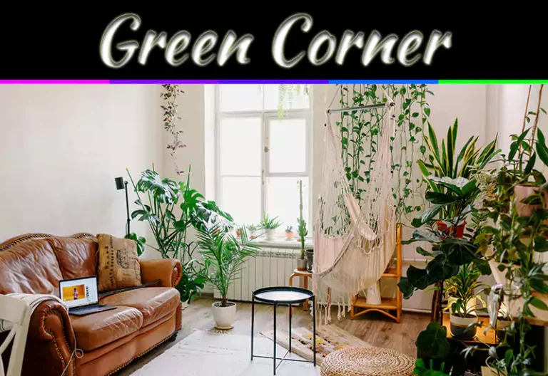 Creating A Home Green Corner: Interior Plants To Style Your Space With Beautiful Living Decor